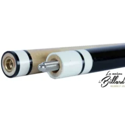 Coffret queue de billard mixte bleue et noir